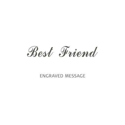 Arctic Symphony | zilver gepolijst | BestFriend-2