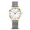 Titanium | goud gepolijst/geborsteld | 18634-010