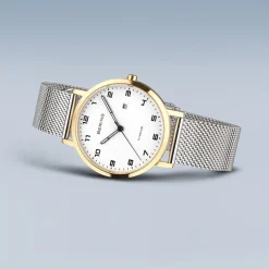 Titanium | goud gepolijst/geborsteld | 18634-010