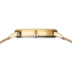 Titanium | goud gepolijst/geborsteld | 18634-334