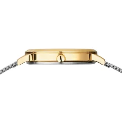 Titanium | goud gepolijst/geborsteld | 18634-010